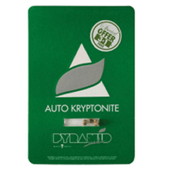 PYRAMID SEEDS AUTO KRYPTONITE 3+1 UNID1