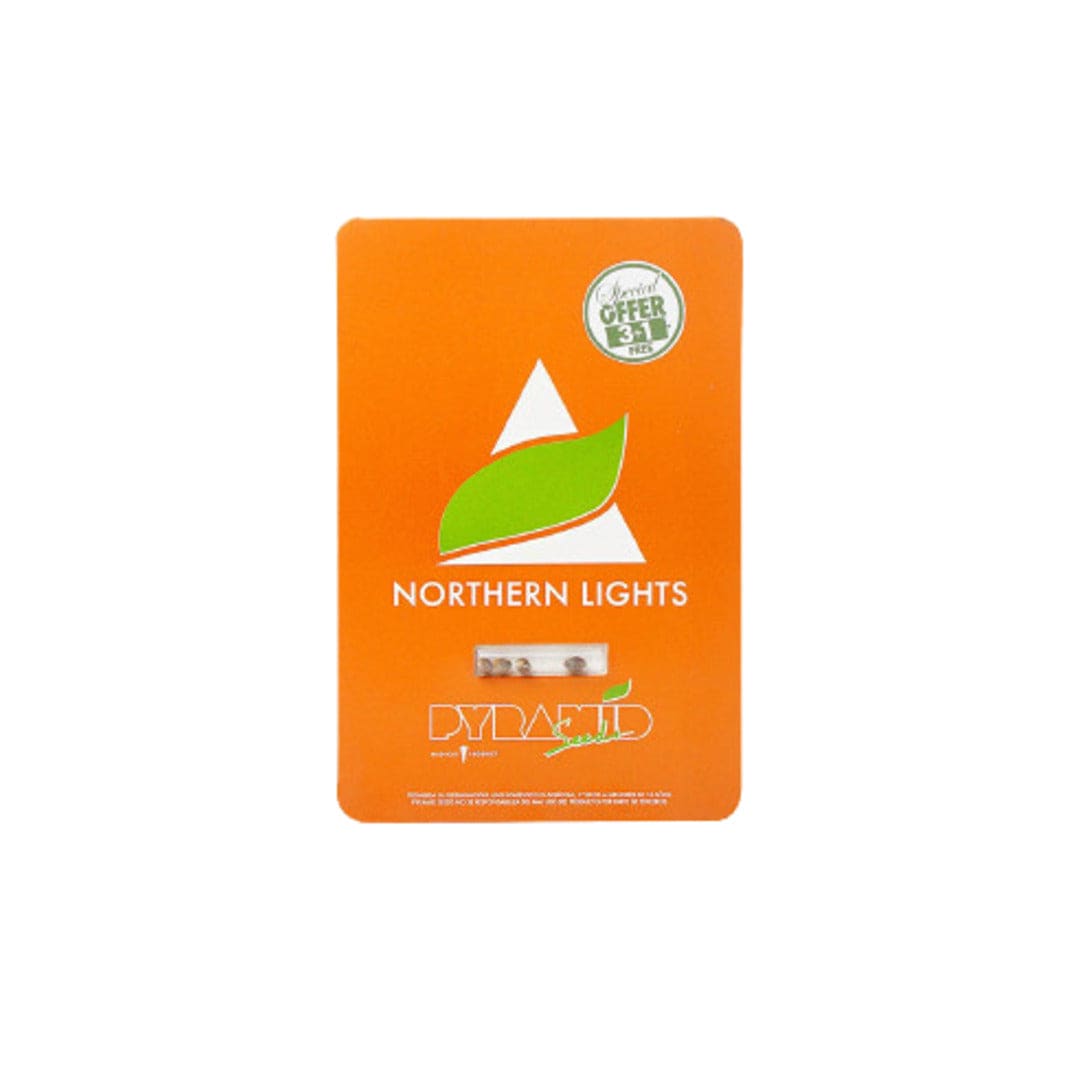 PYRAMID SEEDS AUTO NORTHEN LIGHT1