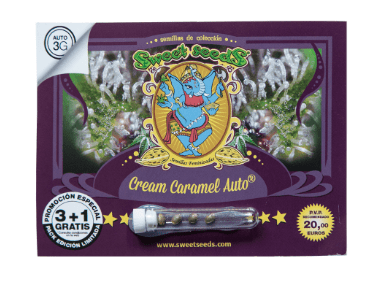 SWEET SEEDS CREAM CARAMEL AUTO 3+11
