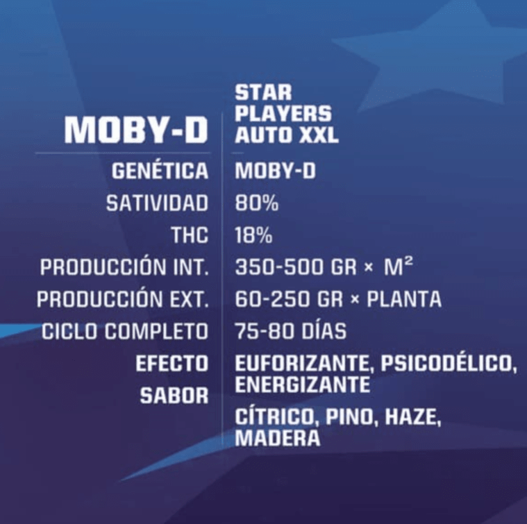 Moby-D AUTO XXL - Bsf Seeds 4UNID1