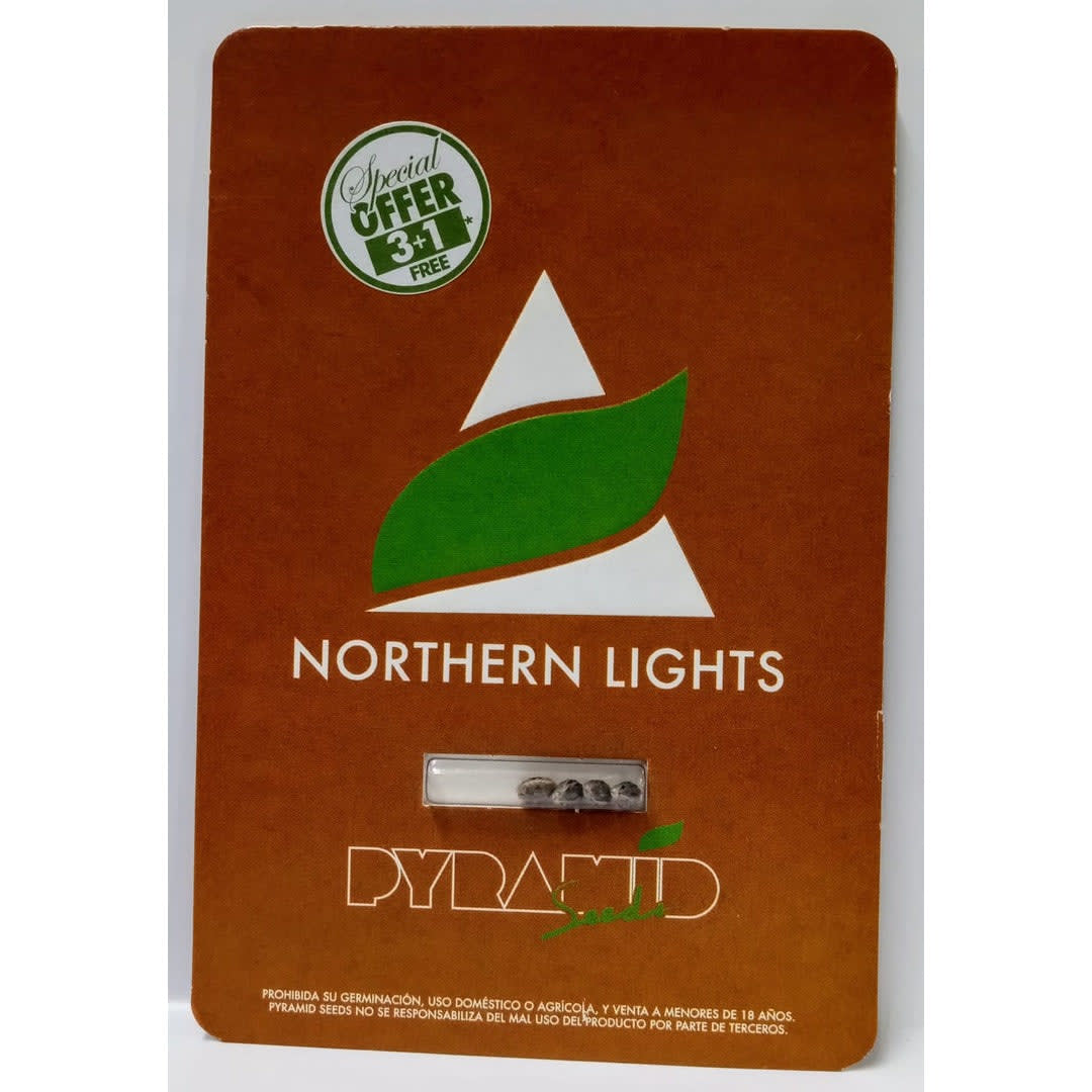 PYRAMID SEEDS FEM NORTHEN LIGHT 3+1U1