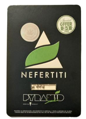 Pyramid Seeds Nefertiti Fem 3+11