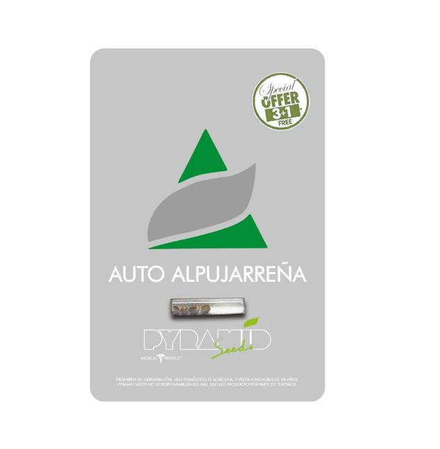 Pyramid Seeds Auto Alpujarreña 3+1 unid1