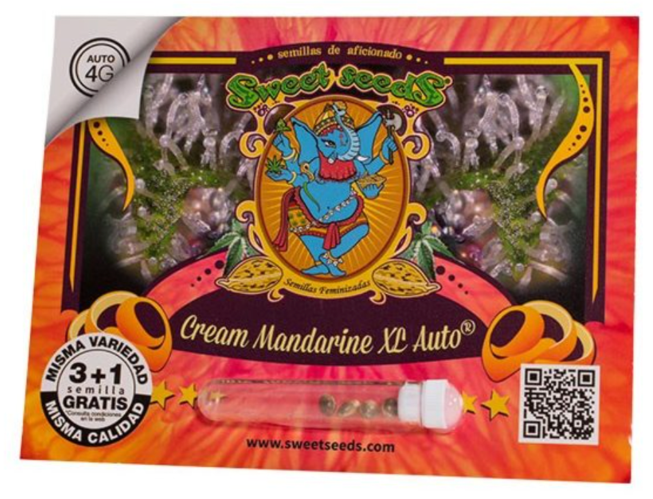 Sweet Seeds Cream Mandarine XL Auto 3+11