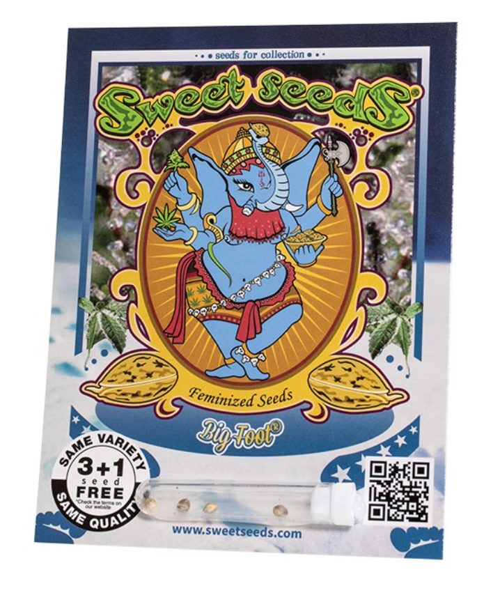 SWEET SEEDS BIG FOOT 3+1 FEM1