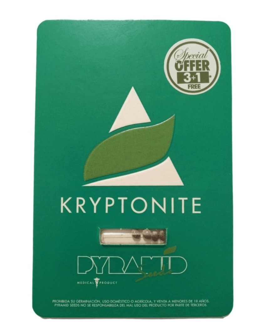 Pyramid Seeds Kryptonite FEM 3+1 unid1
