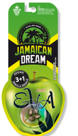 EVA SEEDS JAMAICAN DREAM FEM 3+1 UN1