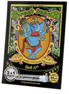 SWEET SEEDS JACK 47 FAST VERSION 3+11