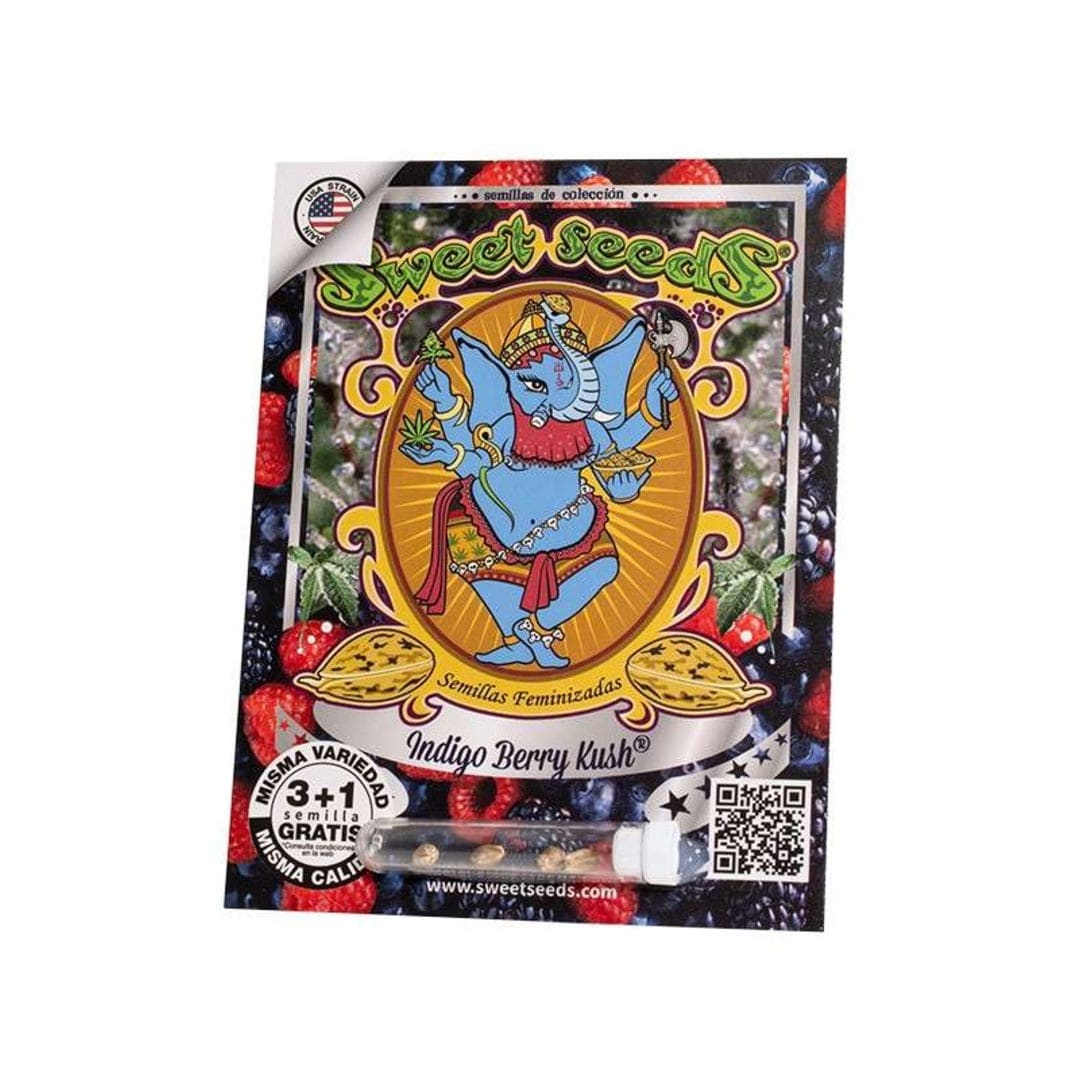 SWEET SEEDS Indigo Berry Kush X31