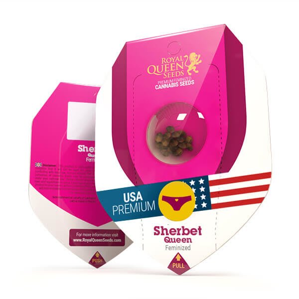ROYAL QUEEN SEEDS SHERBET QUEEN x 1 unid1