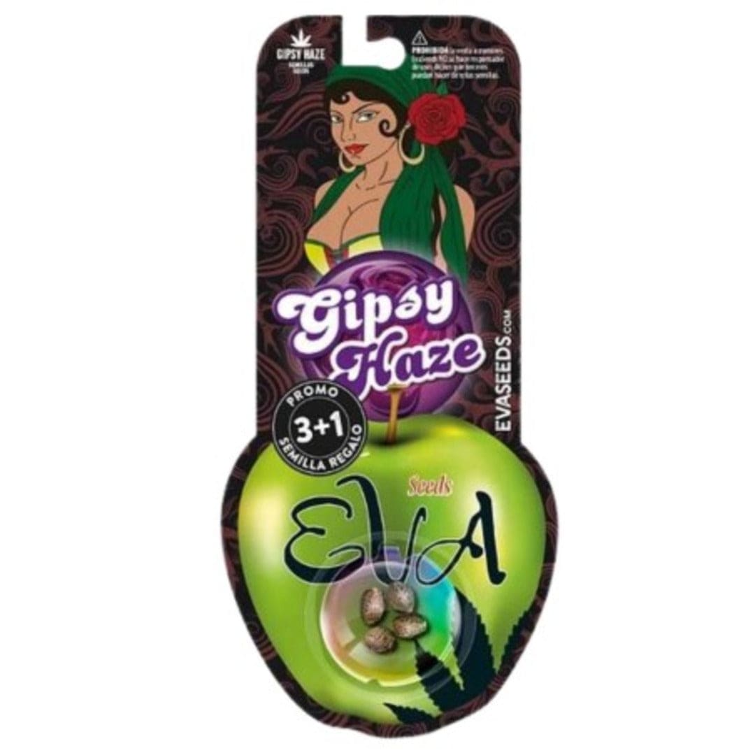 EVA SEEDS GIPSY HAZE FEM1