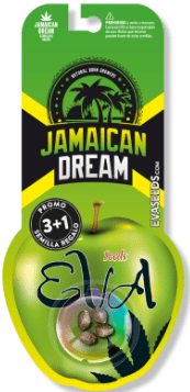 EVA SEEDS LEMON KING FEM 3+1 UN1