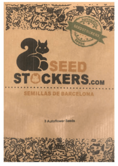 SEED STOCKERS WHITE WIDOW AUTO X31