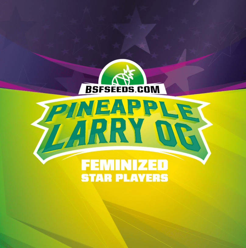 Star Player Pineapple Larry -  Bsf Seeds1