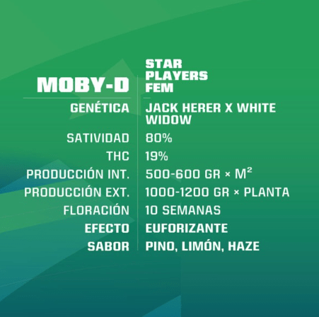 Moby-D X12- Bsf Seeds auto1