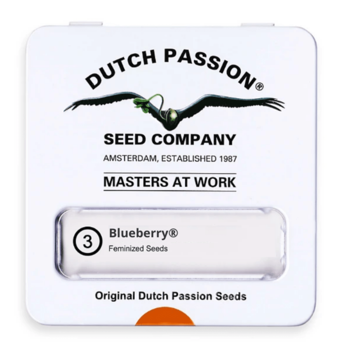 DUTCH PASSION BLUEBERRY 3 UNID1