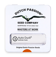 DUTCH PASSION AUTO DUCK1