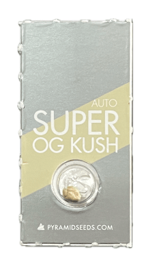PYRAMID SEEDS AUTO SUPER OG KUSH1