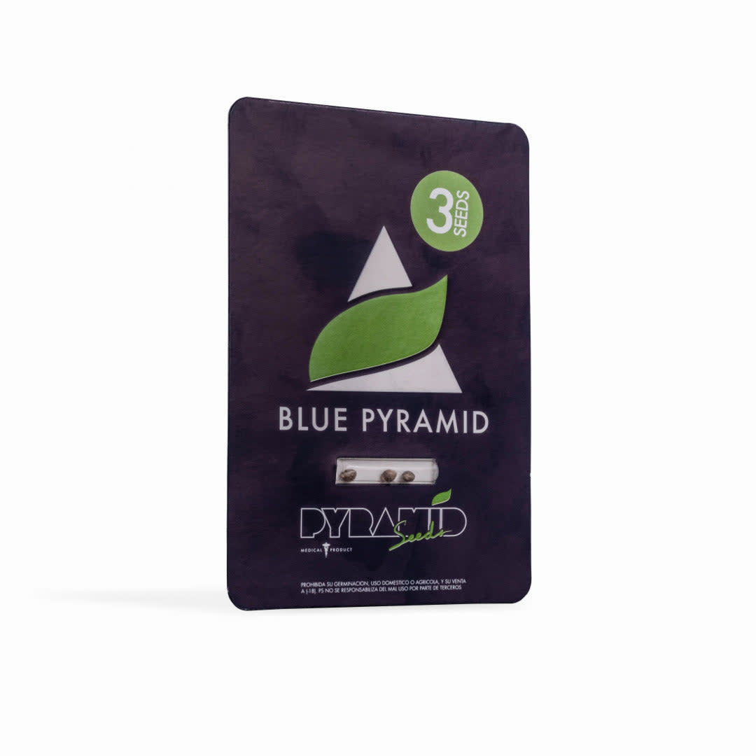 PYRAMID SEEDS FEM BLUE PYRAMID1