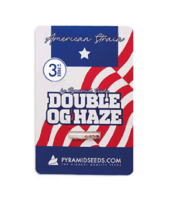 PYRAMID SEEDS DOUBLE OG HAZE FEM 3+1 UNID1