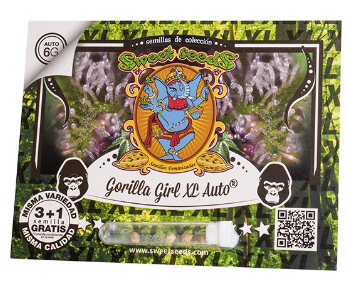 SWEET SEEDS GORILLA GIRL AUTO XL 3+1 UN1