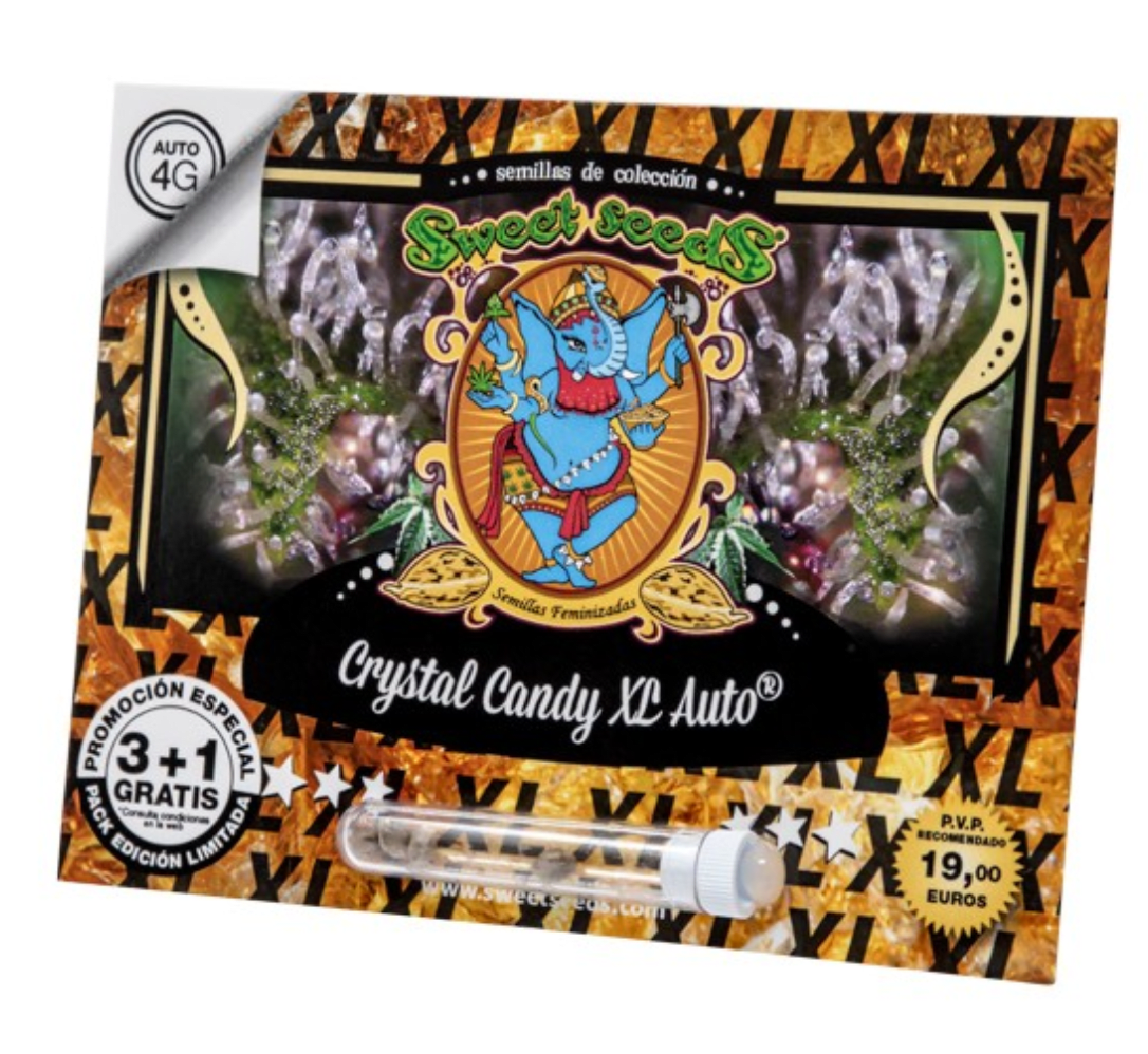 SWEET SEEDS CRYSTAL CANDY AUTO  XL X 3+11