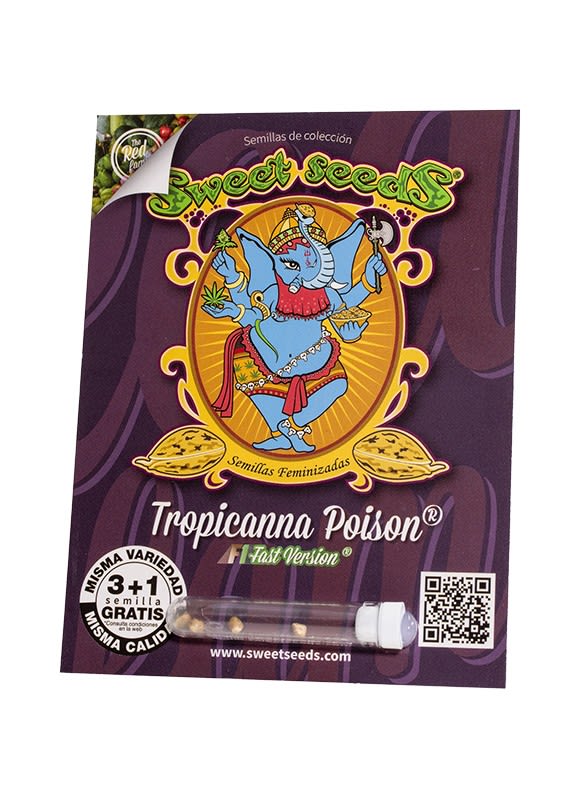 SWEET SEEDS FAST TROPICANNA POISON1