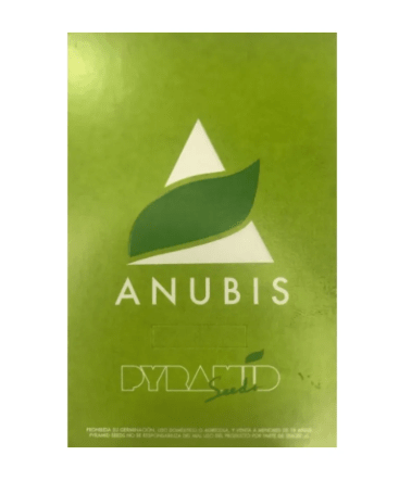 PYRAMID SEEDS ANUBIS FEM 3+1 UNI1