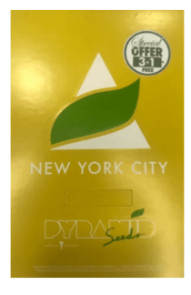 PYRAMID SEEDS  NEW YORK FEM1