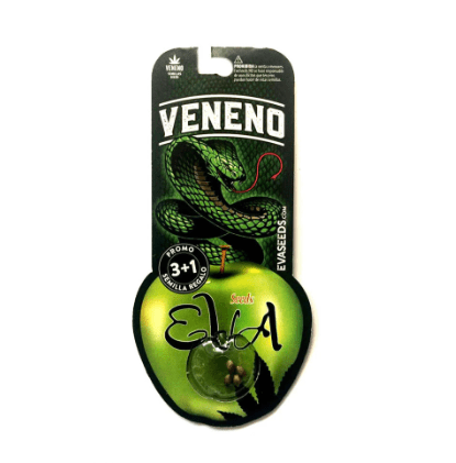 EVA SEEDS VENENO FEM 3+11