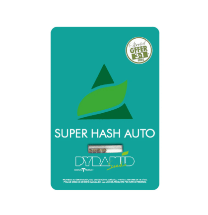 PYRAMID SEEDS AUTO SUPER HASH 3+11
