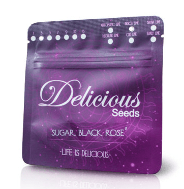DELICIOUS SEEDS AUTO SUGAR BLACK ROSE 3 UNI1