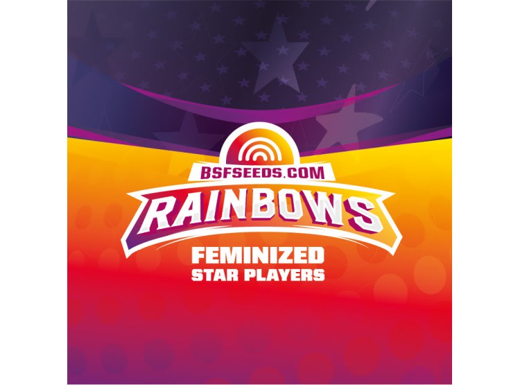 BSF SEEDS FERAINBOWM 4 UNID1