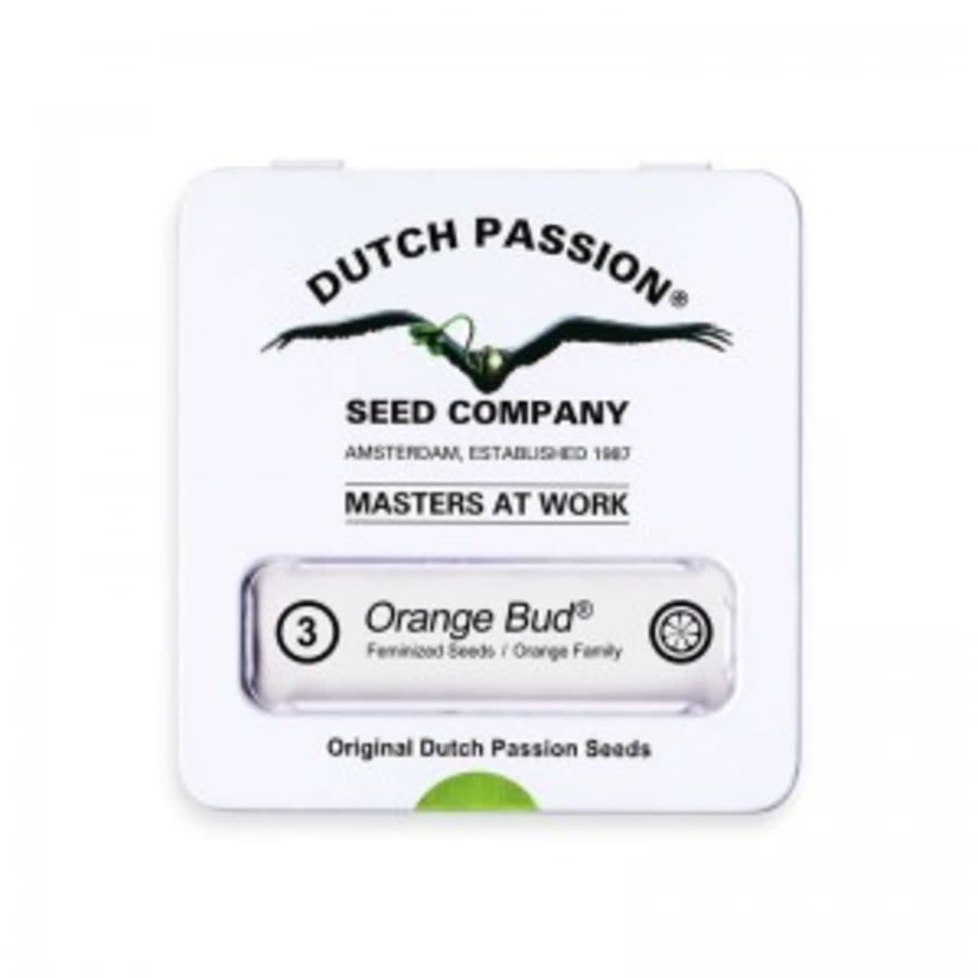 DUTCH PASSION FEM ORANGE BUD1