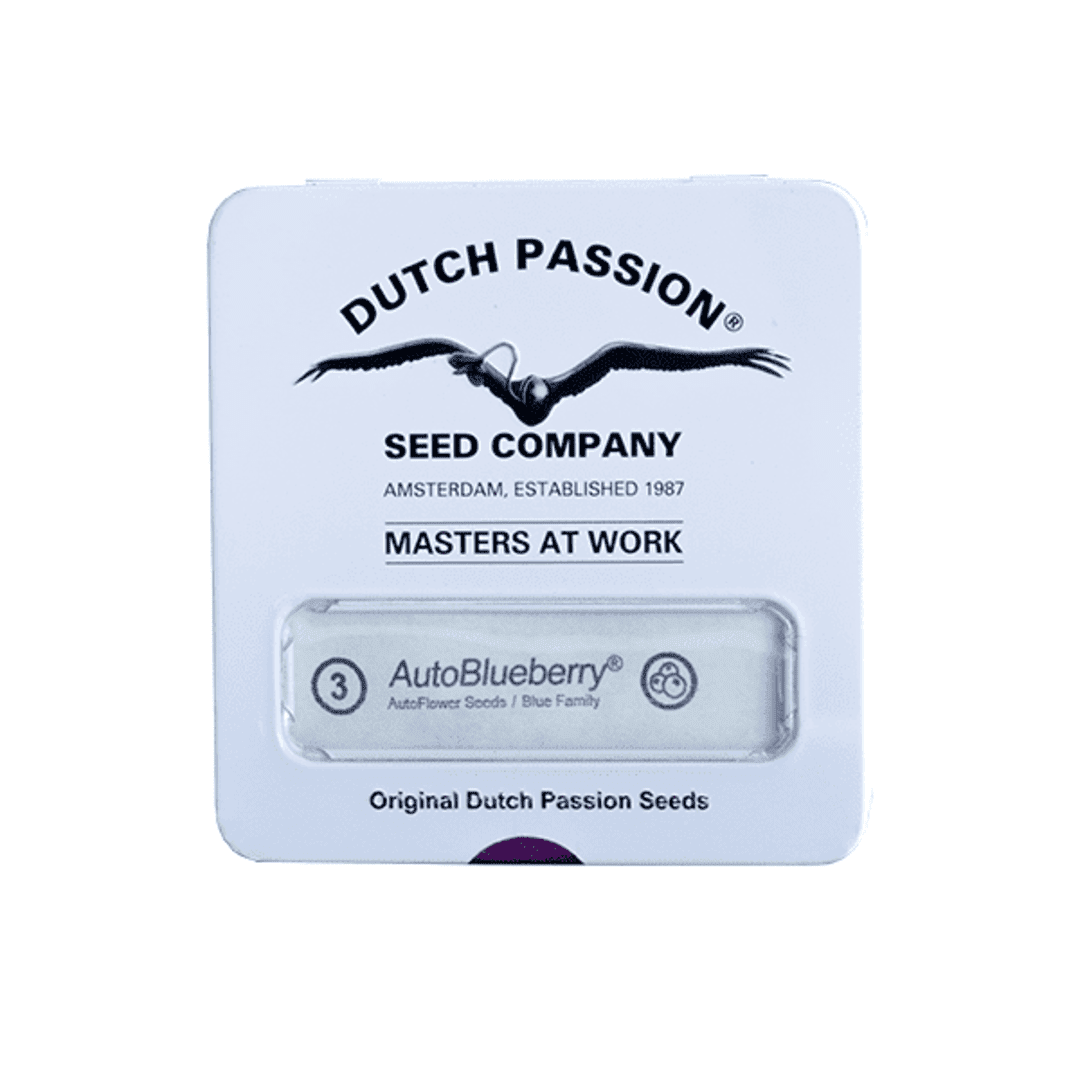 DUTCH PASSION AUTO BLUEBERRY1