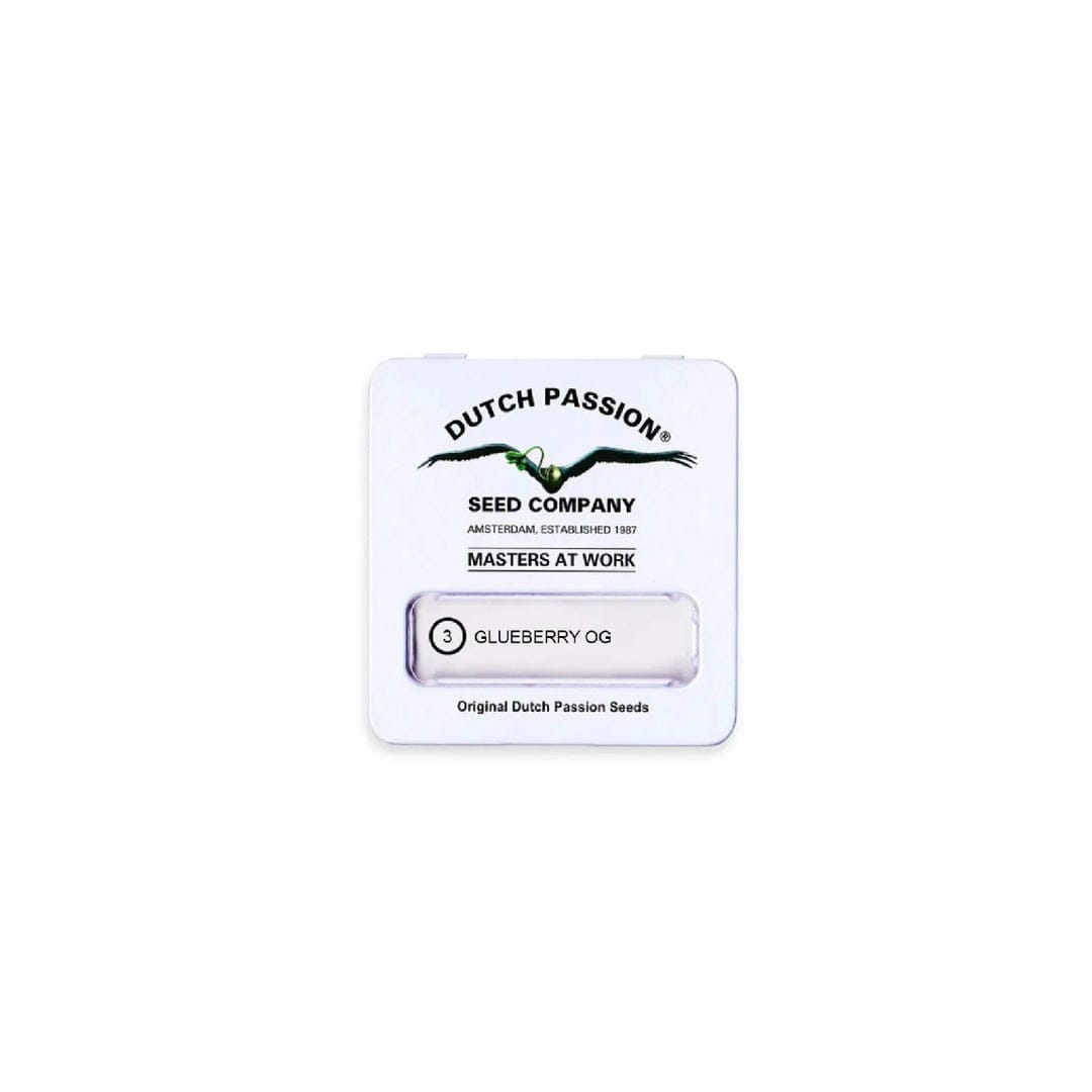 DUTCH PASSION FEM GLUEBERRY OG1