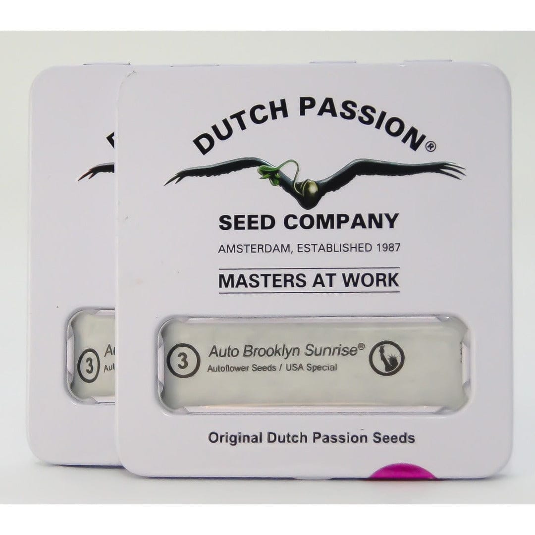 DUTCH PASSION AUTO BROOKLYN SUNRISE1