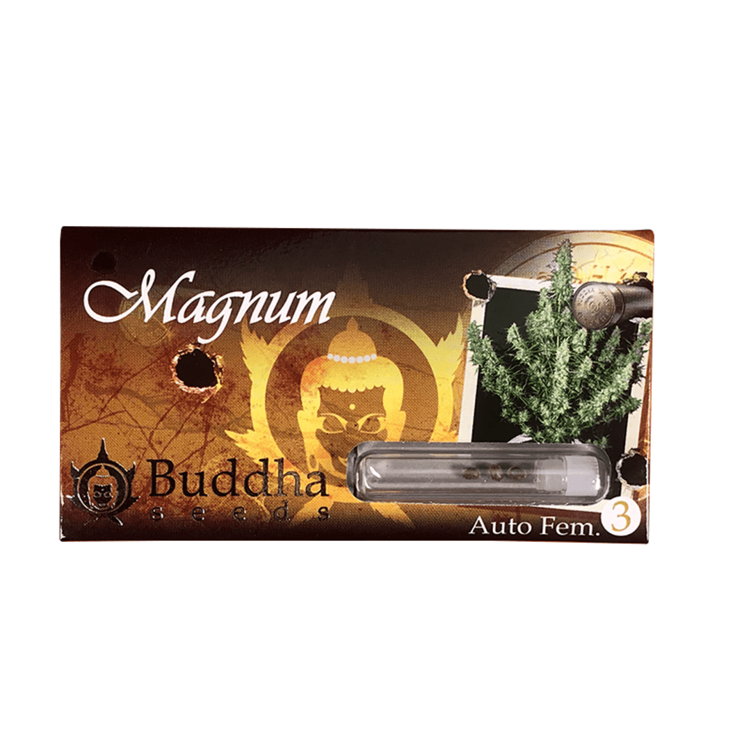 BUDDHA SEEDS MAGNUM1