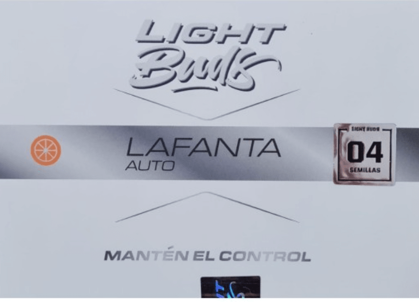 Light Bud - Lafanta Auto CBD x 41