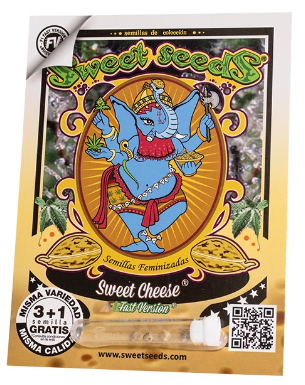 Sweet Cheese F1 Fast Version  3+11