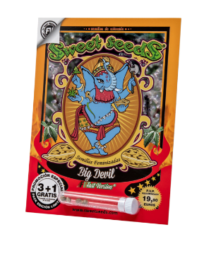 SWEET SEEDS BIG DEVIL FAST VERSION 3+11