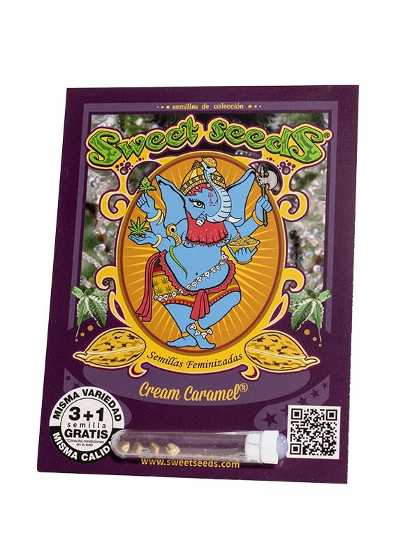 SWEET SEEDS FEM CREAM CARAMEL1