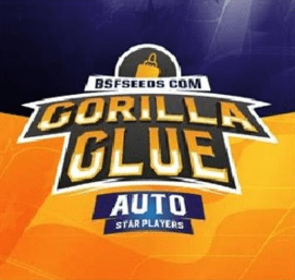 BSF SEEDS GORILLA GLUE AUTO 2 UNID2