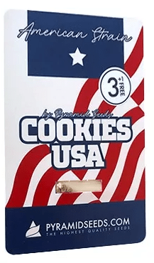 PYRAMID SEEDS COOKIES USA 3 UNID1