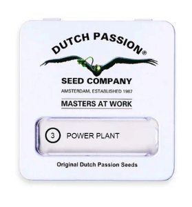 DUTCH PASSION POWER PLANT FEM X31