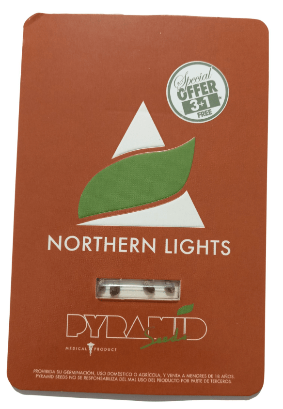PYRAMID SEEDS NORTHERN LIGHTS FEM X11