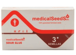MEDICAL SEEDS SOUR GLUE FEM 3 UN1