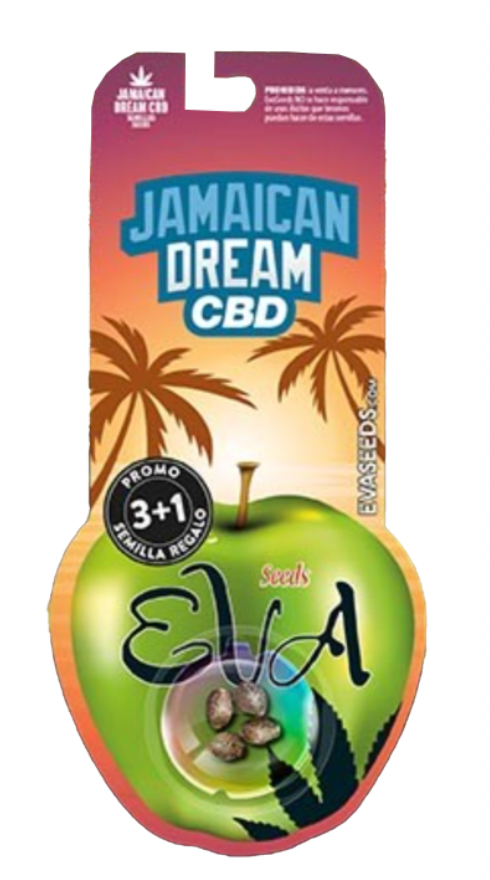 EVA SEEDS JAMAICAN DREAM CBD FEM 3 UNID1