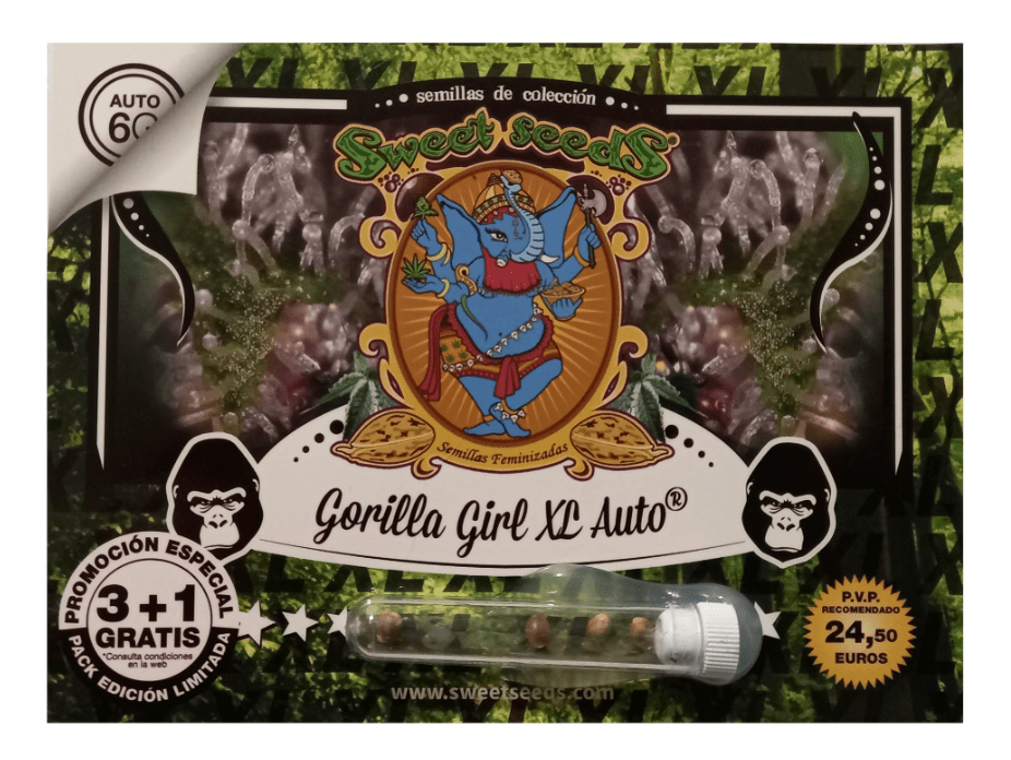 SWEET SEEDS GORILLA GIRL AUTO XL 25UNID1