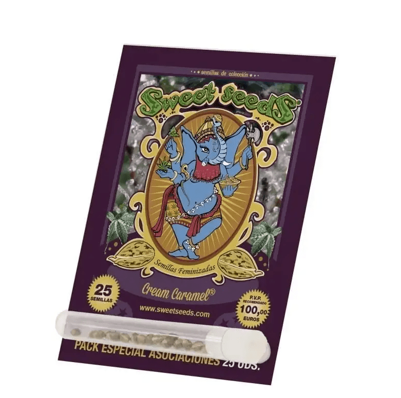 SWEET SEEDS - CREAM CARAMEL AUTO X251
